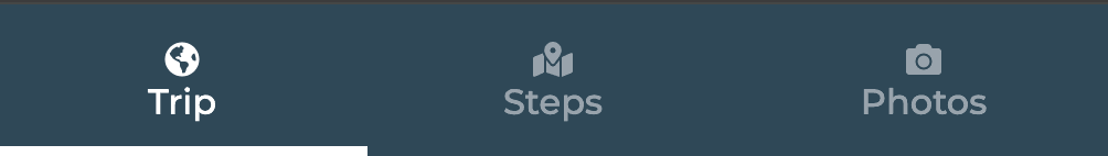 Los tres pasos para añadir un viaje en tu TraveledMap